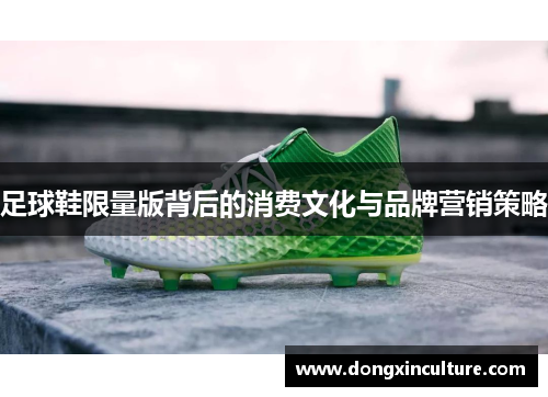 足球鞋限量版背后的消费文化与品牌营销策略